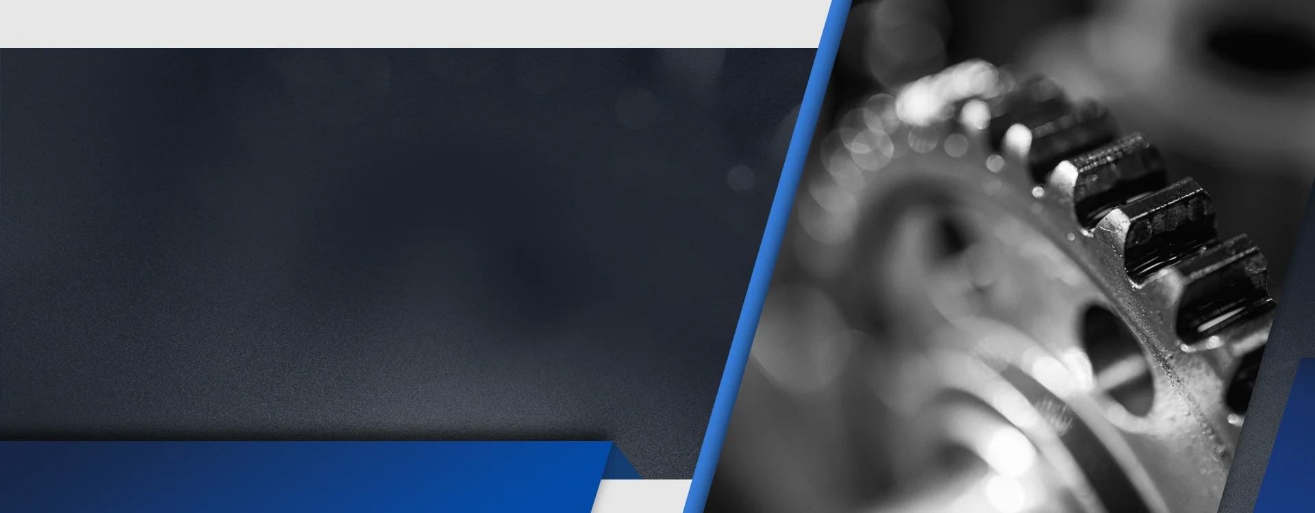 Banner 3